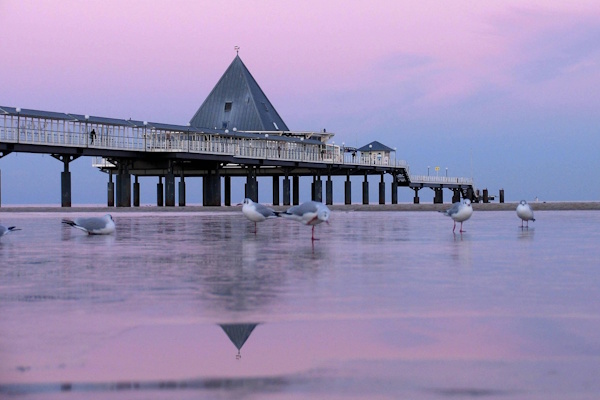 Seebrücke Heringsdorf